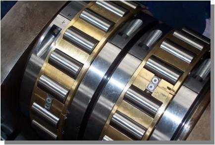 NJ 1036 ML;NU 1036 ML Cylindrical Roller Bearings Use For Stainless Steel Filter Sieve Machine