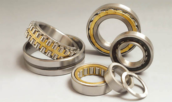 NJ 2236 ECML;NU 2236 ECML Cylindrical Roller Bearings Use For Powder Rotary Vibrating Screen