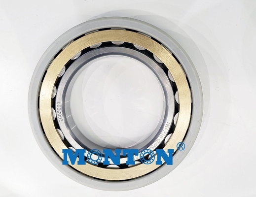 Hybrid Insulated Motor Bearings with ceramic rolling elements