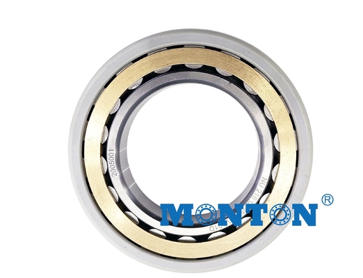 Hybrid Insulated Motor Bearings with ceramic rolling elements