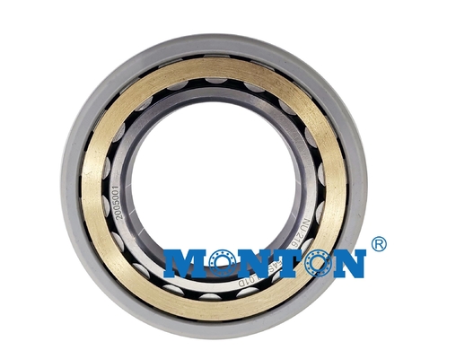 Hybrid Insulated Motor Bearings with ceramic rolling elements