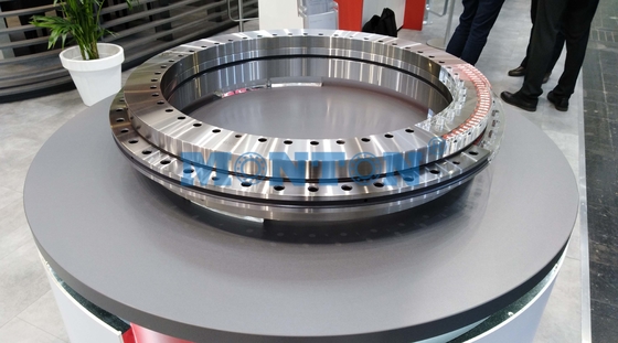 YRTS200 200*300*45mm Rotary Table Bearing